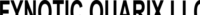 FYNOTIC QUARIX LLC